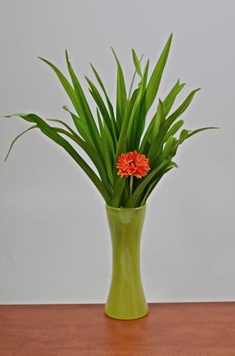 Wazon zielony na Arena.pl