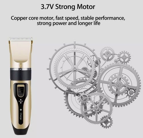 Maszynka do strzyżenia zwierząt Psa Kota Golarka na Arena.pl