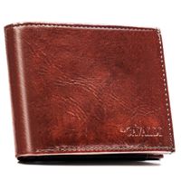 portfel męski pu f18-pal41-bl 8099 brown