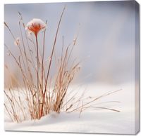 Obraz 90x90cm Zima w Detalach