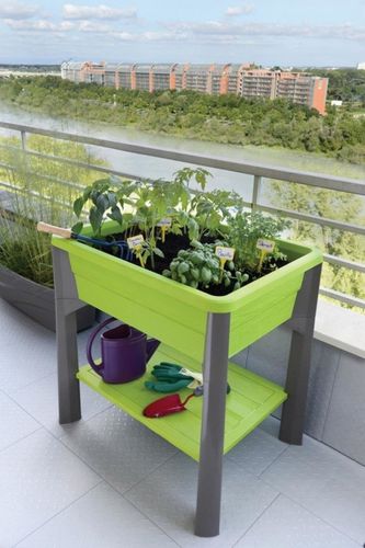 Szklarenka balkonowa PISTACJA na Arena.pl
