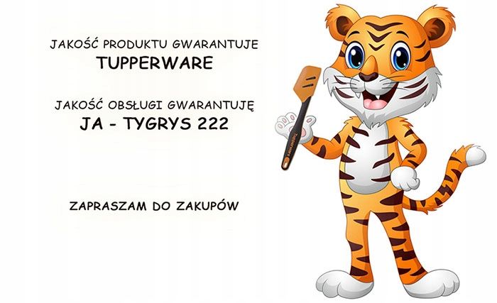 Tupperware Ściereczki Do Okularów- 2 Sztuki zdjęcie 2
