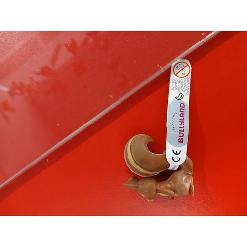 Figurka Comansi 12933 Wiewiórka na Arena.pl