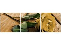 product-compare-58647582