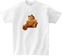 Koszulka T-shirt Garfield