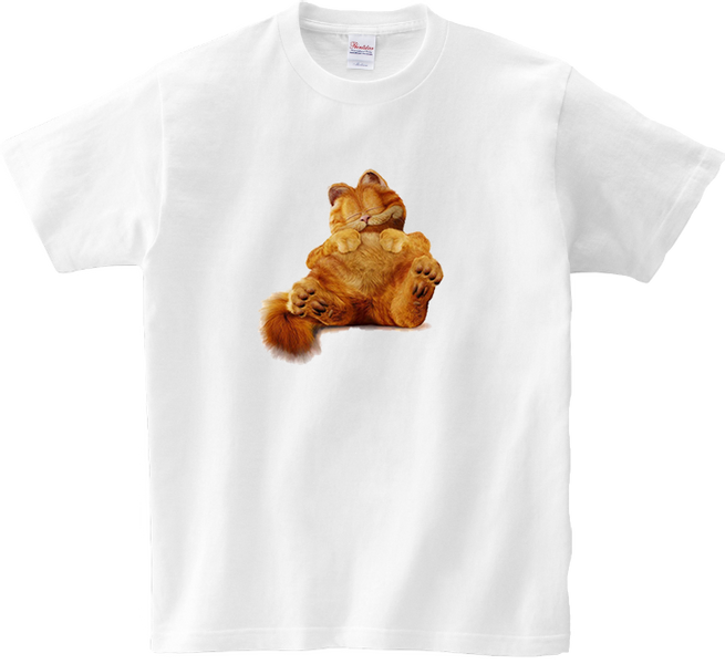 Koszulka T-shirt Garfield zdjęcie 1