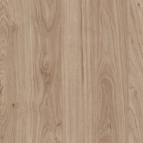 Duża witryna BASIC BWT104 grafit/Jackson Hickory na Arena.pl