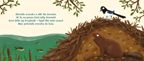 Rok W Lesie. Zasypianka na Arena.pl