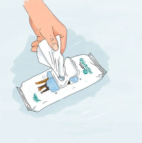 Gluckstier Chusteczki Nawilżane Dla Psów 60 Sztuk na Arena.pl