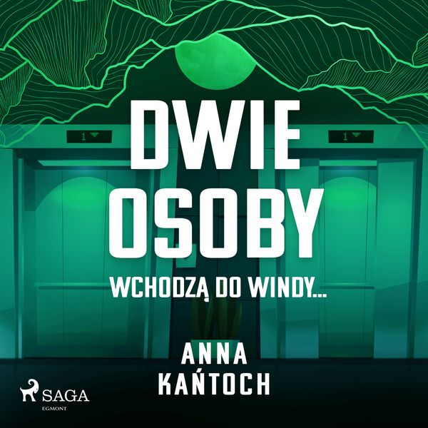 (mp3) Dwie osoby wchodzą do windy... zdjęcie 1