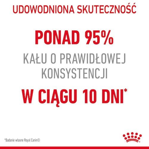 Royal Canin Digestive Care Karma Sucha Dla Kotów Dorosłych, Wspomagająca na Arena.pl