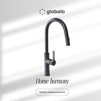 Bateria kuchenna z wyciąganą wylewką GLOBALO Divio Anthracite 1.1