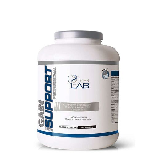 GenLab - Gain Support Professional - 2,4 kg ciastko czekoladowe na Arena.pl