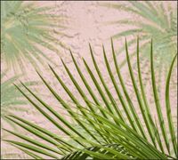 Tło do fotografii produktowej kulinarnej Flat Lay