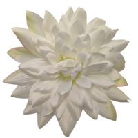 Dalia wyrobowa 6 szt kremowa