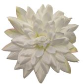 Dalia wyrobowa 6 szt kremowa