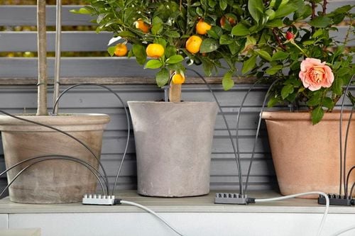 automatyczna konewka - hg-01265-20 na Arena.pl