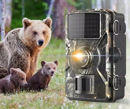 FOTOPUŁAPKA KAMERA LEŚNA MYŚLIWSKA FULL HD POLSKIE MENU TRYB NOCNY na Arena.pl