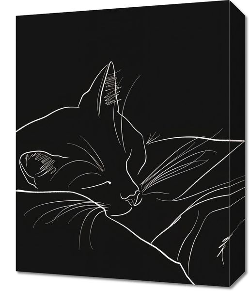 Obraz 40x50cm Nocny Spokój zdjęcie 1