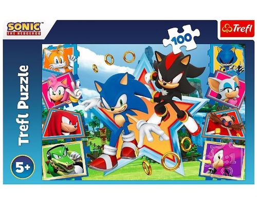 Puzzle 100 Elementów Poznaj Sonica Sonic na Arena.pl