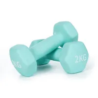 Hantle do ćwiczeń zestaw ciężarki hantelki 2x2kg