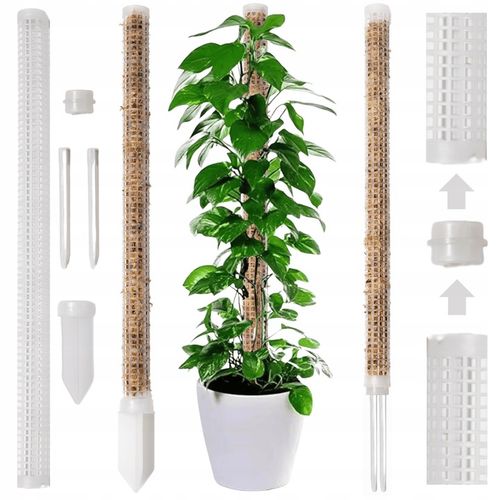 Podpora do roślin pnączy do mchu Sphagnum Palik Tyczka Do Epipremnum na Arena.pl