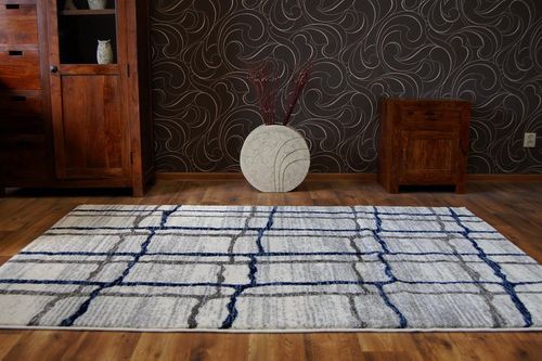 Dywan SHADOW 9359 white / blue 200x290 cm na Arena.pl