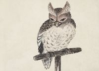 Plakat 35x25cm Owl 2, Hokusai Japoński Vintage do Salonu