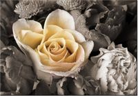 100 70CM OBRAZ PŁÓTNO DELIKATNA RÓŻA PŁÓTNO RAMA