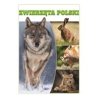 zwierzęta polski twarda oprawa 32 strony