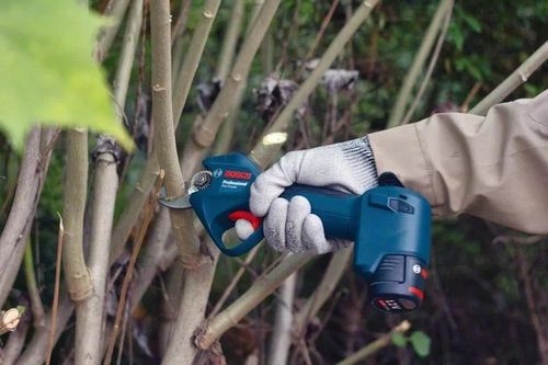 BOSCH SEKATOR 12V 25mm PRO PRUNER SOLO na Arena.pl