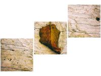 70 90CM OBRAZ 3 ELEM JESIENNY LIŚĆ JENNY DOWNING ŚCIENNY DRUK PŁÓTNO