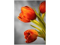 50X70CM CZEROWNE TULIPANY OBRAZ PION ŚCIAN