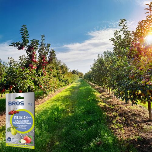 bros - miedzian 50wp 15g na Arena.pl