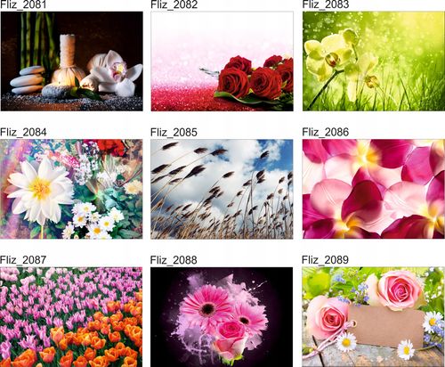 FOTOTAPETA DO SPA ŁODYGA BAMBUSA STORCZYK KAMIENIE na Arena.pl