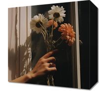 product-compare-59476700