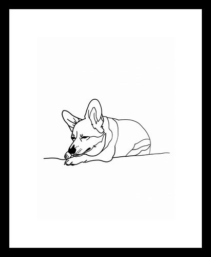 Plakat 15x20cm Śpiący Corgacz na Arena.pl