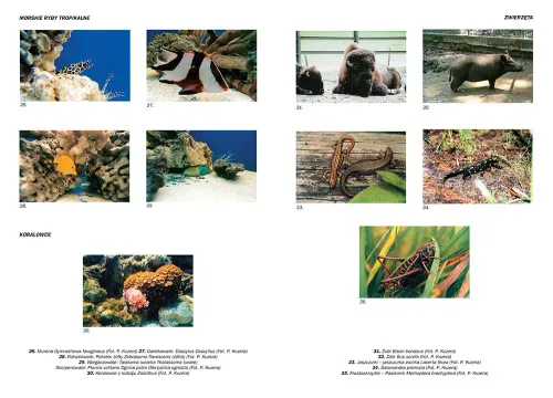 Encyklopedia szkolna - biologia na Arena.pl