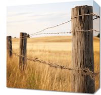 Obraz 40x40cm Płot na Polu