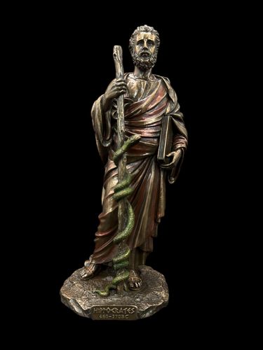 HIPOKRATES VERONESE  (WU77124A4) na Arena.pl