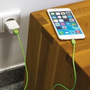 LOGILINK -  Sieciowa ładowarka 1xUSB, 5 W na Arena.pl