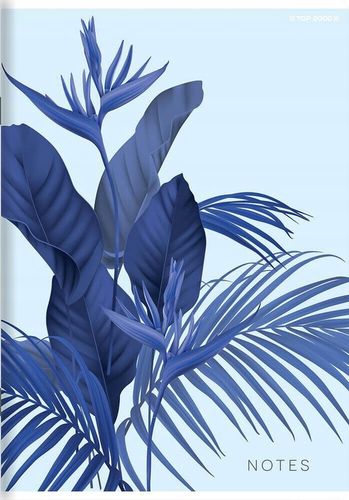 10X ZESZYT TOP 2000 A5 60 KARTEK, KRATKA +MARGINES na Arena.pl