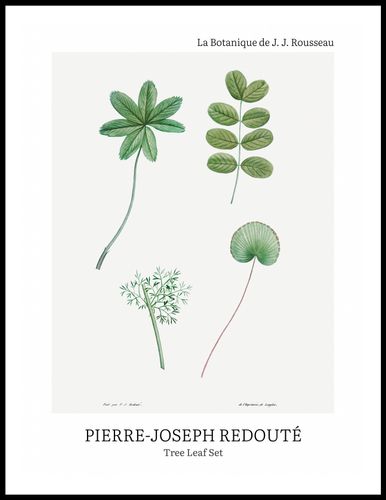 Plakat 60x80cm Design Tree Leaf Set, Redoute Vintage do Salonu na Arena.pl