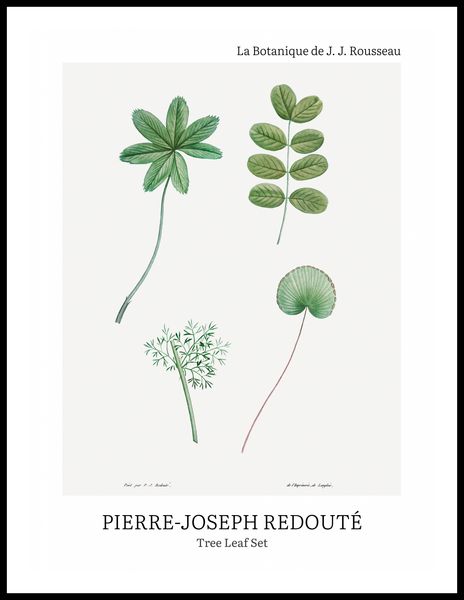 Plakat 60x80cm Design Tree Leaf Set, Redoute Vintage do Salonu zdjęcie 3