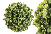 kula bukszpanowa 14cm  | ART11810