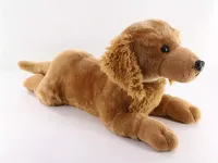 Golden leżący, 60 cm