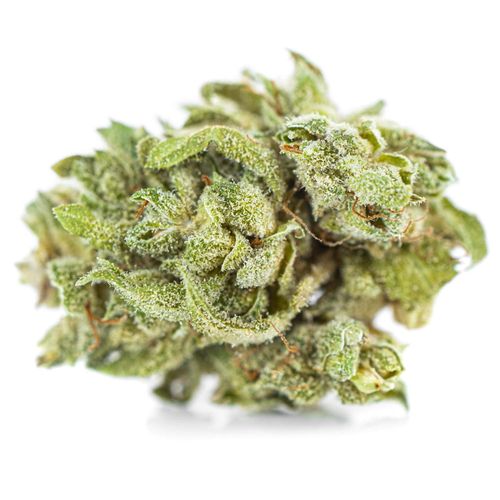 CBD SUSZ KONOPNY CBG SILVER PREMIUM PRODUKT NATURALNY 100 g na Arena.pl