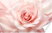 Fototapeta PREMIUM STRUKTURA ZMYWALANA NA WYMIAR jasnoróżowa róża