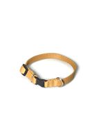 A-002 OBROŻA DLA PSA TAŚMA 13mm/21-36cm Kolor - Złoty