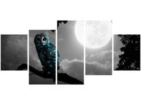 product-compare-58703344